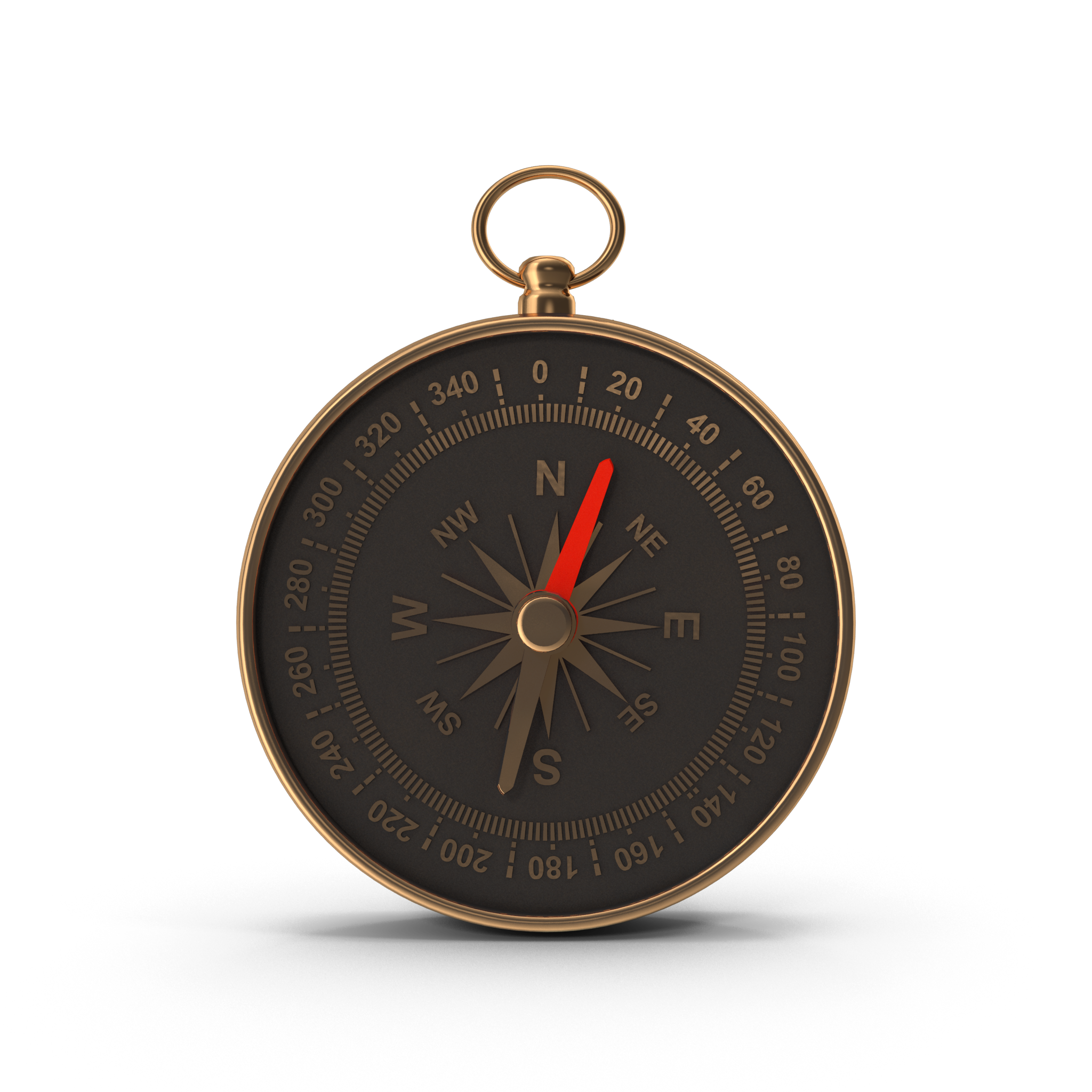 DLS-Compass-01 DLS-Compass-01